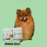 AUINPET IMMUNE BOOST Lactoferrin For Pets 60g